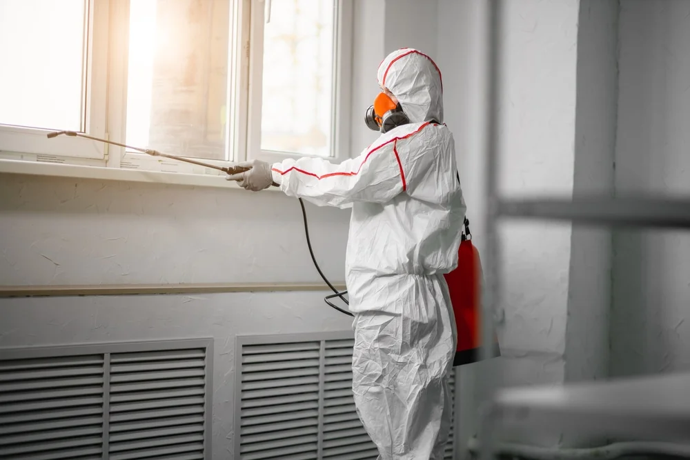 Professional mold remediation services in Rogers, MN